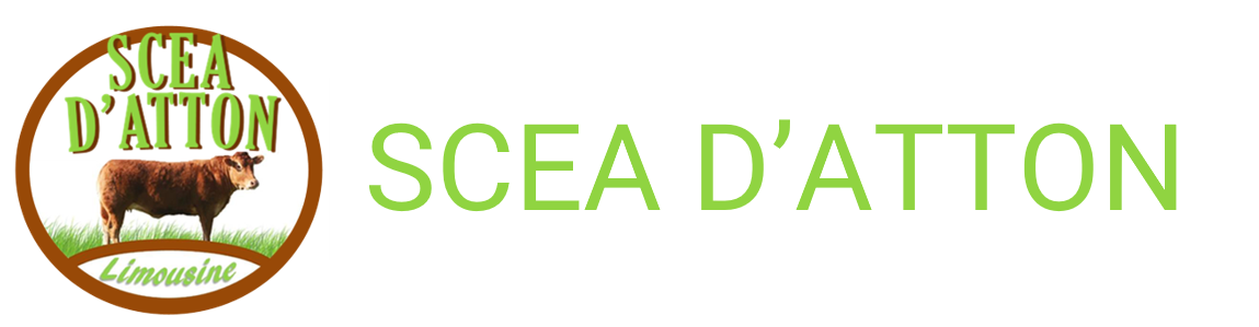 SCEA D'Atton Logo